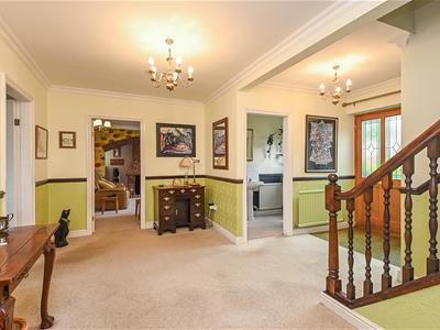 Picture 7